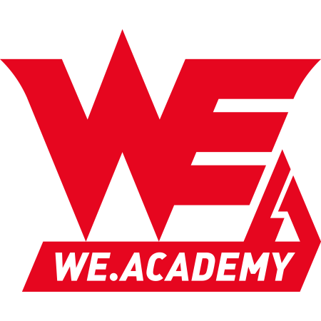 Team WE Academy