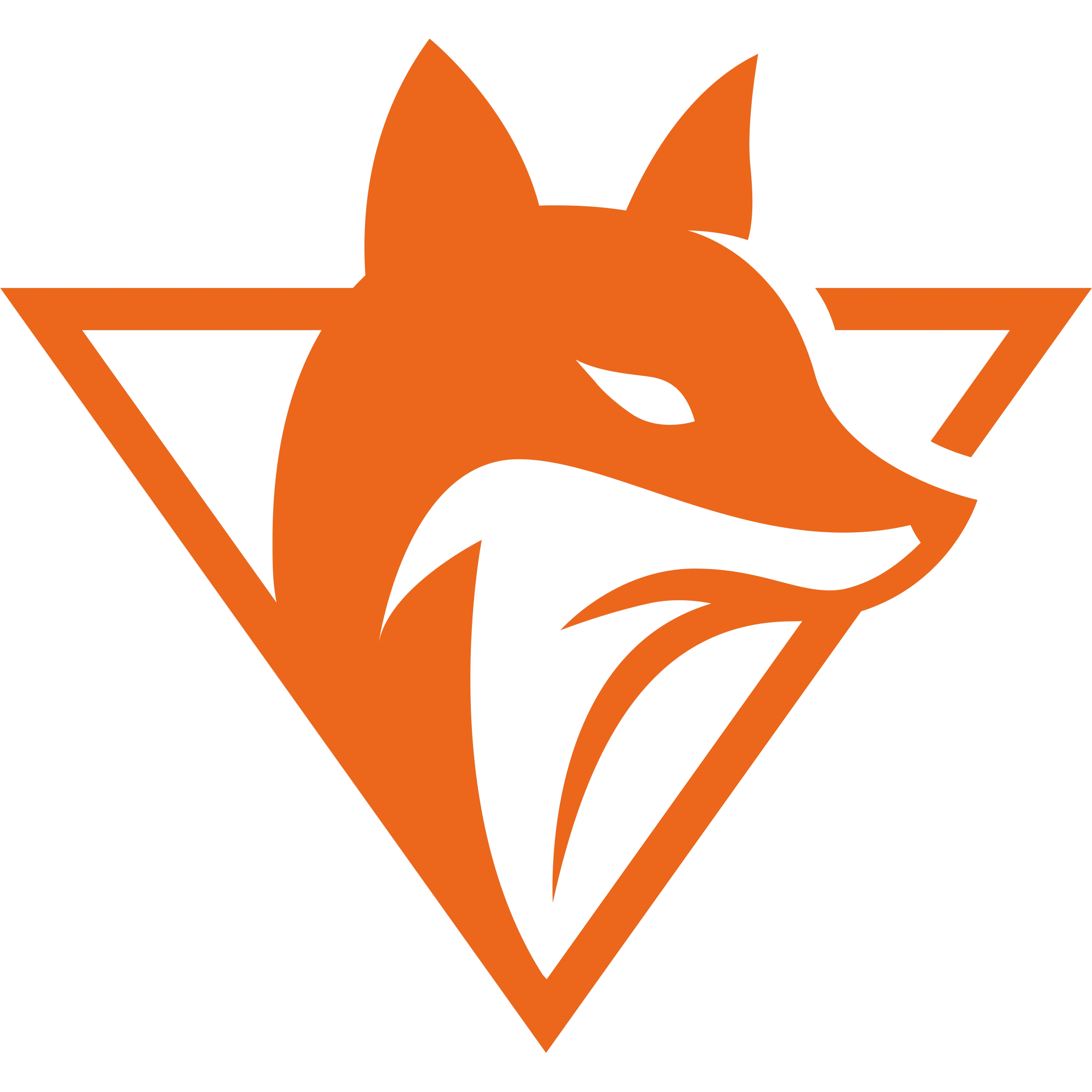 TeamOrangeGaming Academy