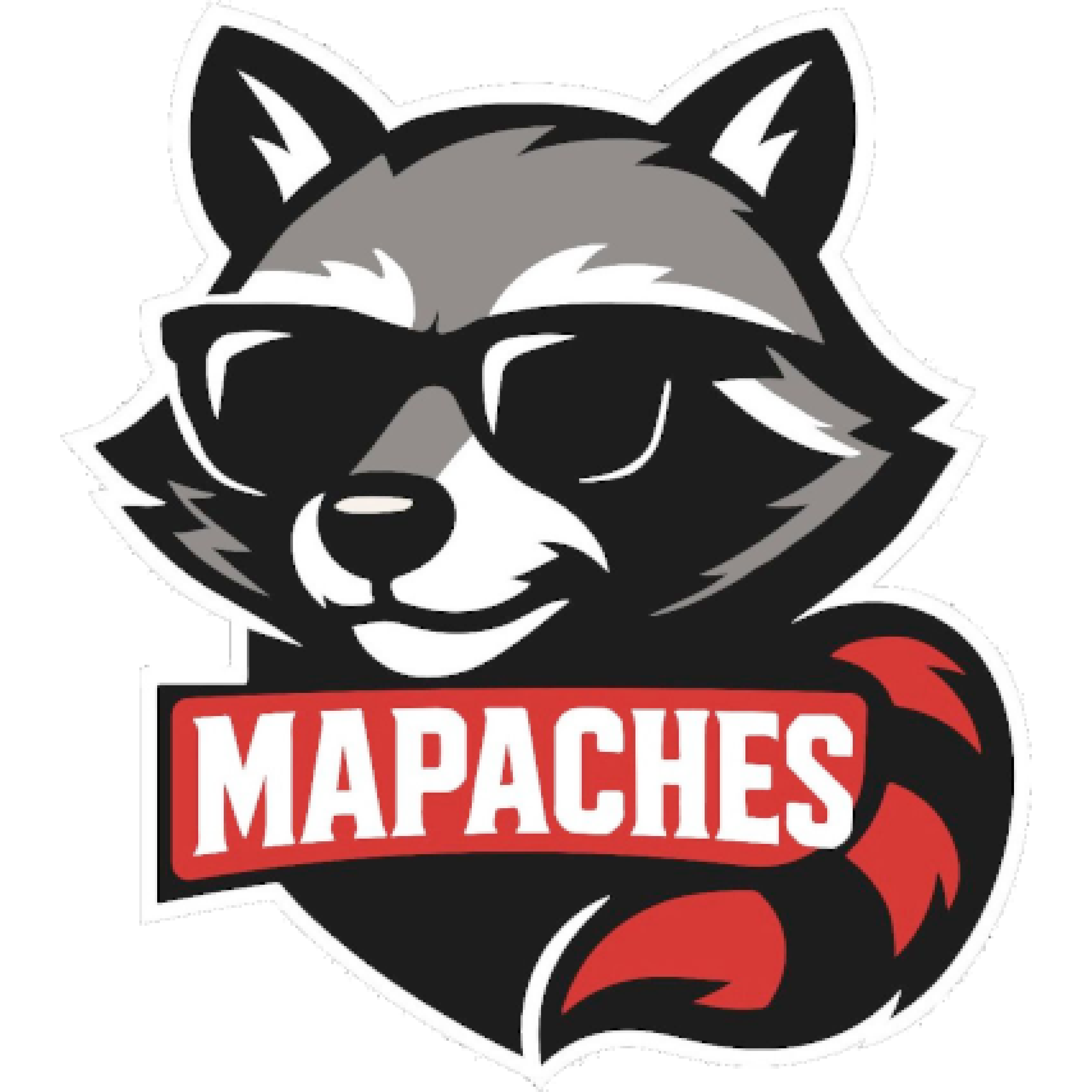 Los Mapaches