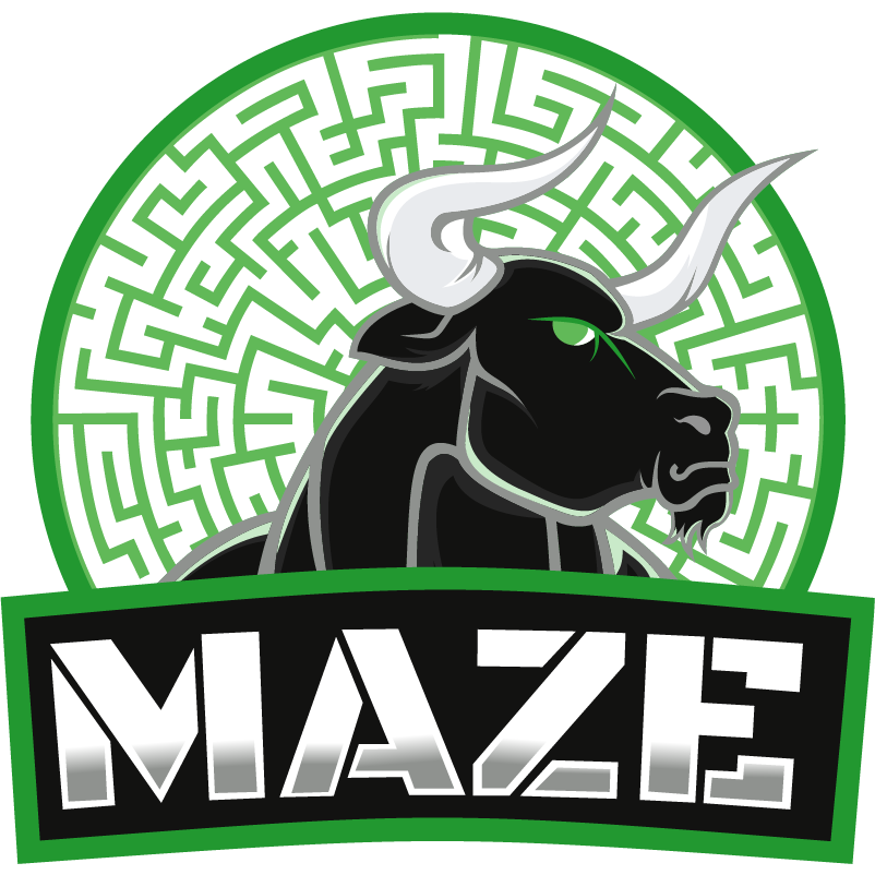 Maze Gaming Academy