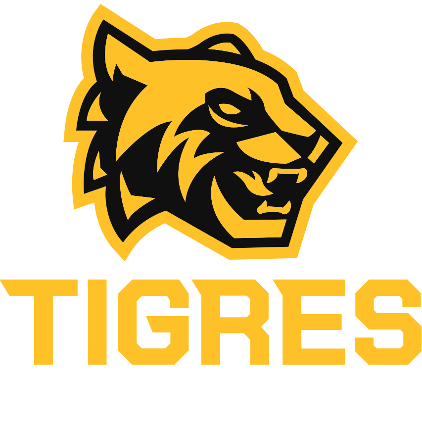 SDM Tigres Academy