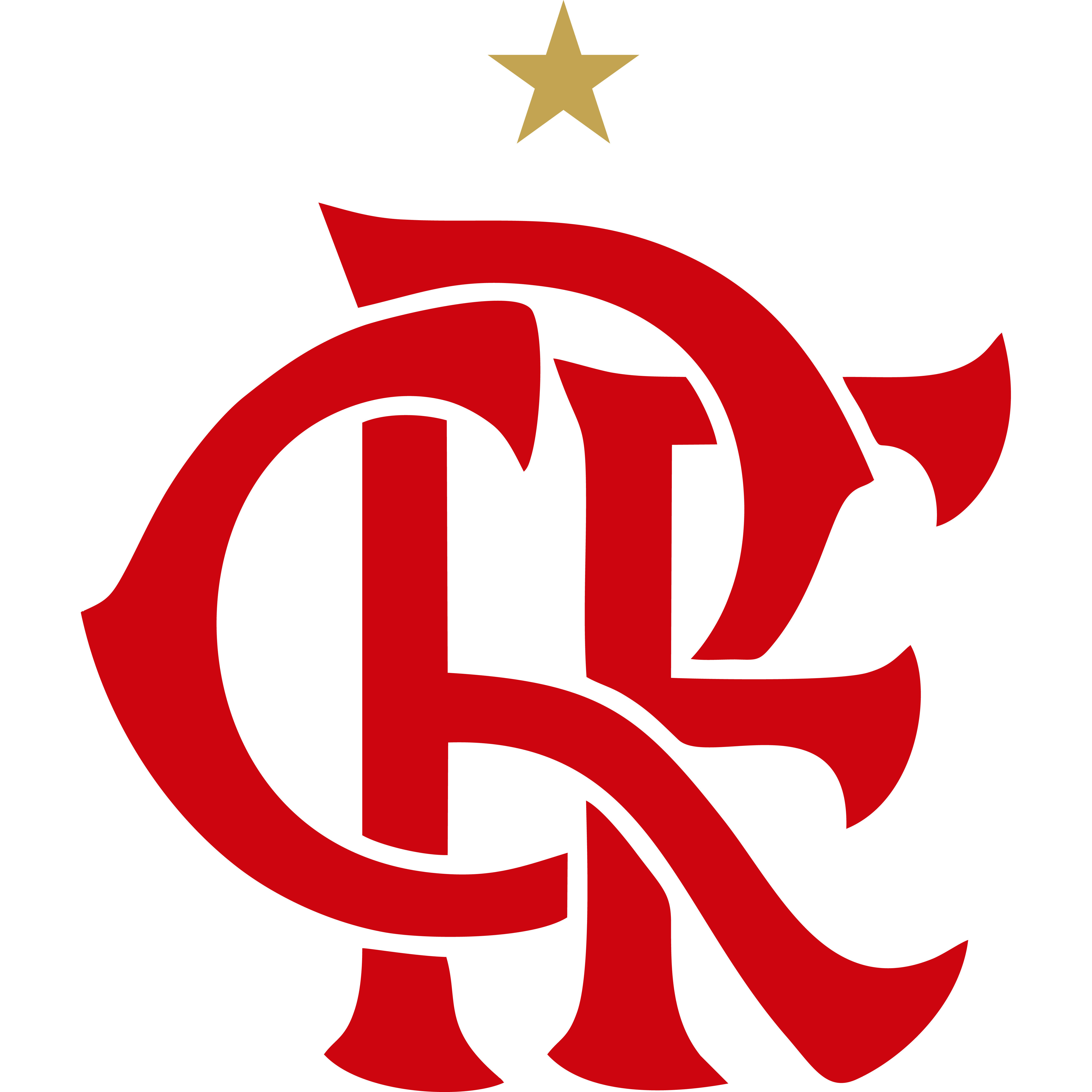 Flamengo Academy