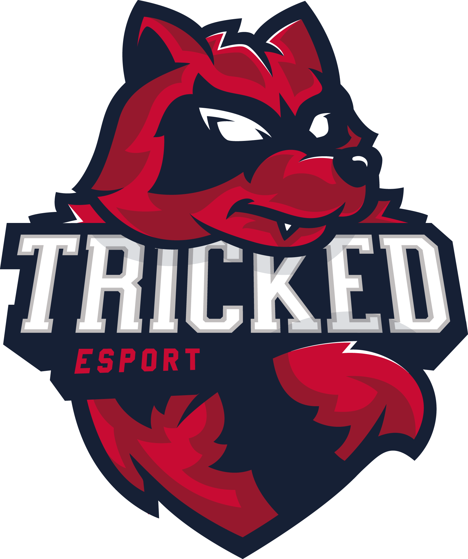 Tricked esport